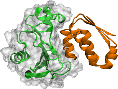 twoproteins