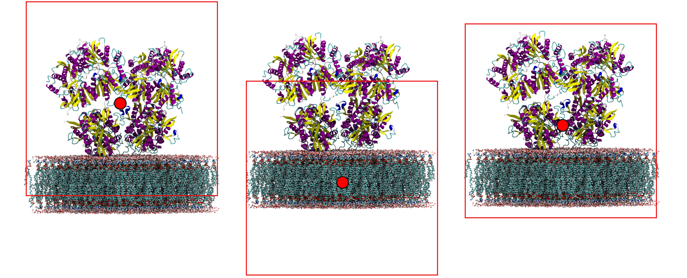 membrane wrapping